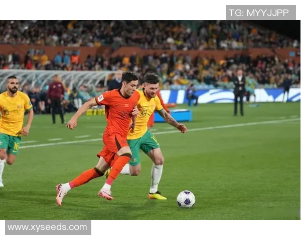 2010年世界杯经典对决荷兰队与德国队的精彩较量回顾 2010年世界杯经典对决荷兰队与德国队的精彩较量回顾