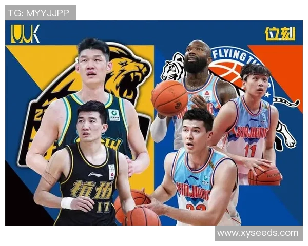 2013年CBA季后赛深圳队对阵广东队的精彩对决回顾与分析