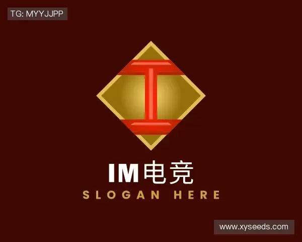 了解IM