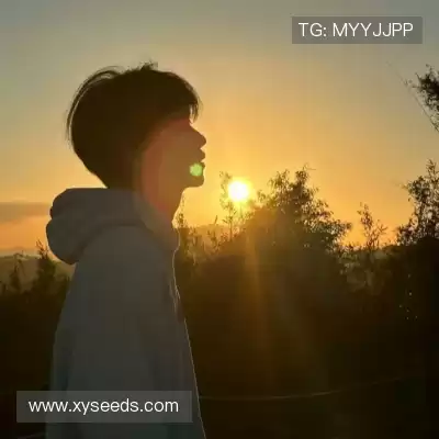 杜蒙茉